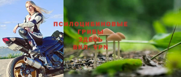 ПСИЛОЦИБИНОВЫЕ ГРИБЫ Богородицк