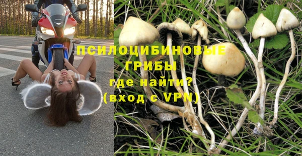 герыч Богданович