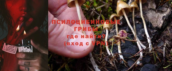 ПСИЛОЦИБИНОВЫЕ ГРИБЫ Богородицк