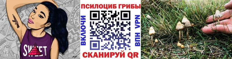где продают наркотики  Костерёво  Галлюциногенные грибы Psilocybine cubensis 